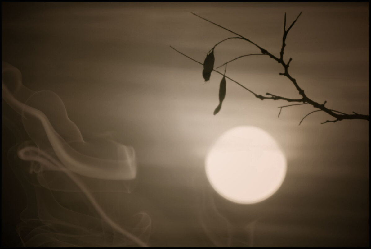 Сквозь дымку хмельного тумана - Nina Streapan