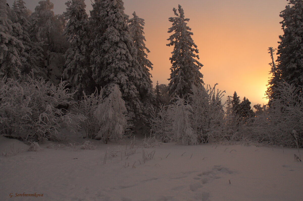 Зимний вечер на Черной скале, Таганай. - Galina Serebrennikova