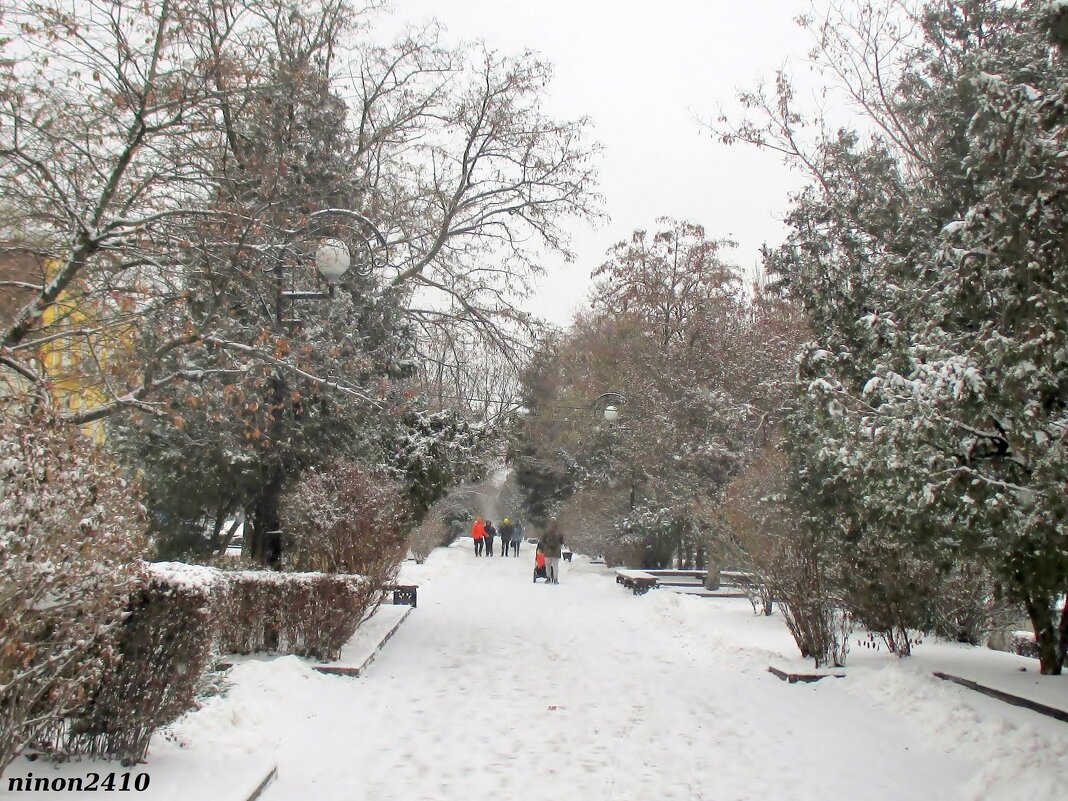 Прогулка в снегопад - Нина Бутко