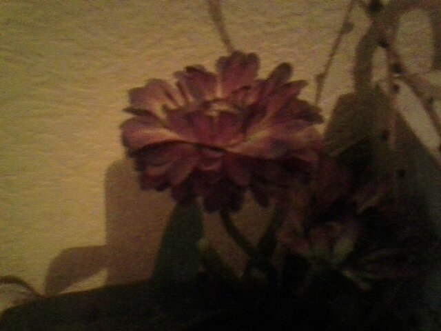 цветы в вазе - миша горбачев