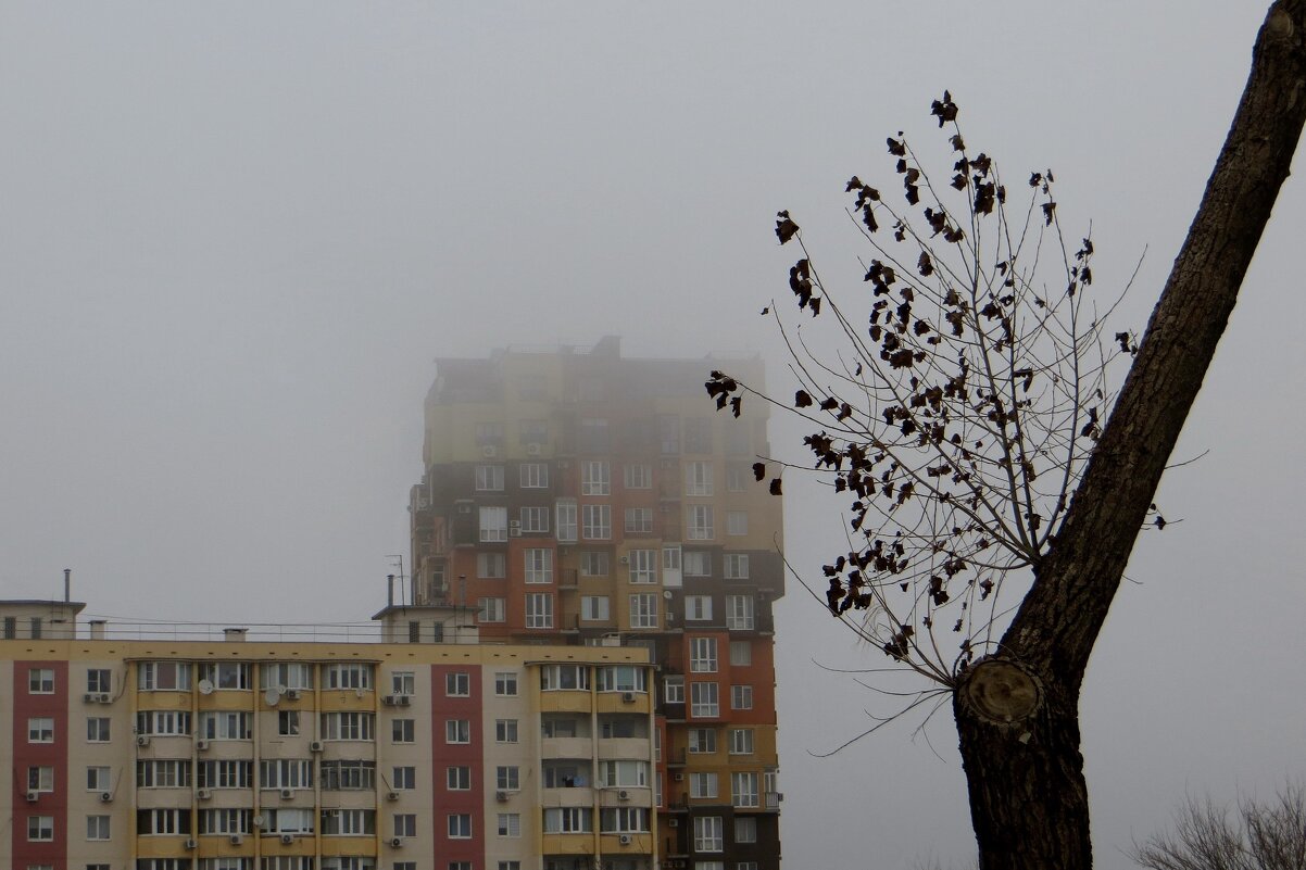 Такая зима к нам приходит, забыла про снежные вьюги... - Татьяна Смоляниченко