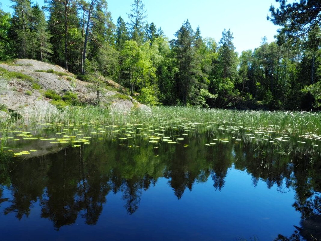 Швеция летом - wea *