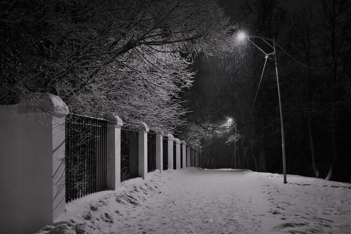 Вечерняя прогулка - Андрей Зайцев