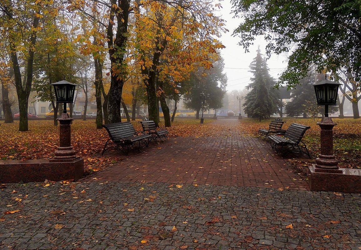 Осенний парк - Роман Савоцкий
