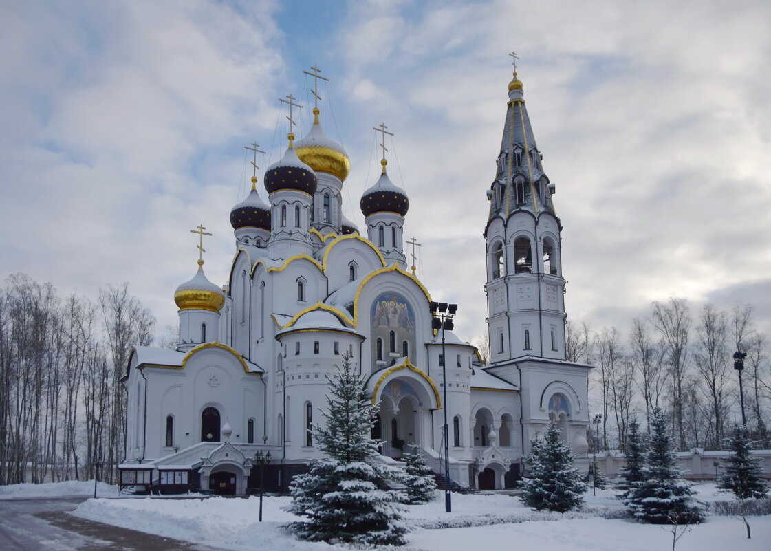 Подмосковье. Храм Святого Благоверного князя Александра Невского в посёлке Княжье Озеро. январь2021 - Galina Leskova