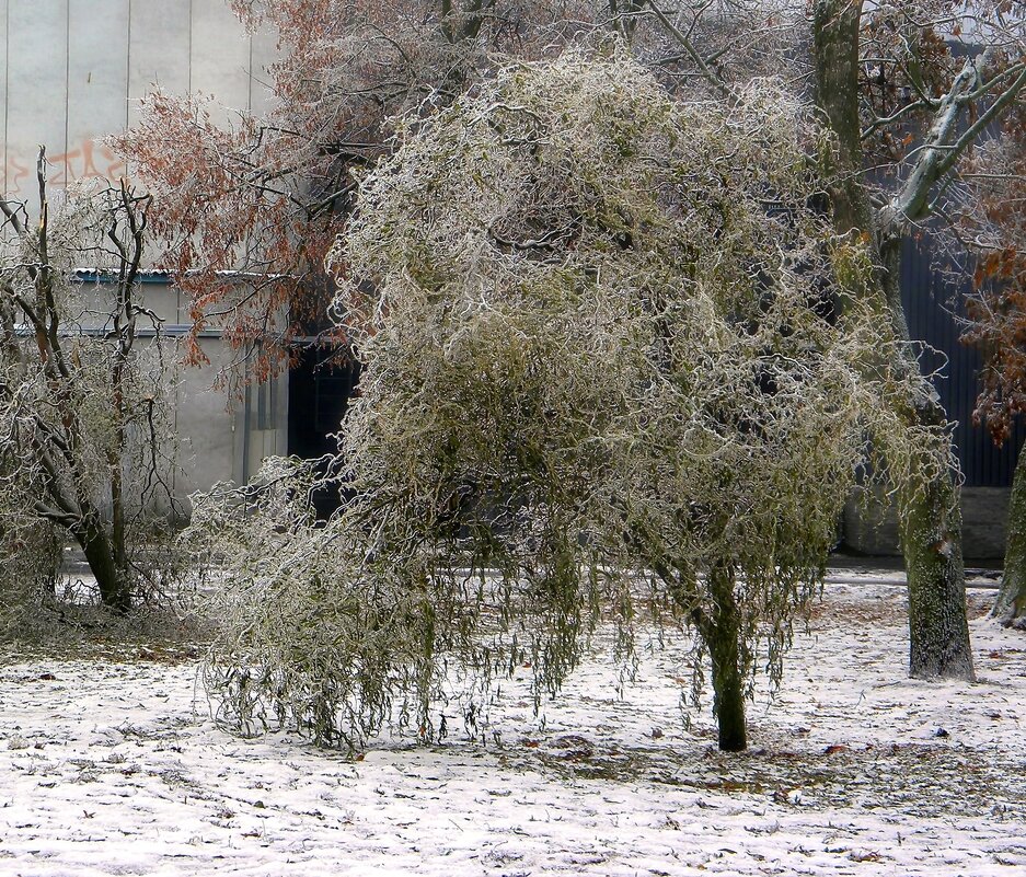 Ледяной дождь - Роман Савоцкий