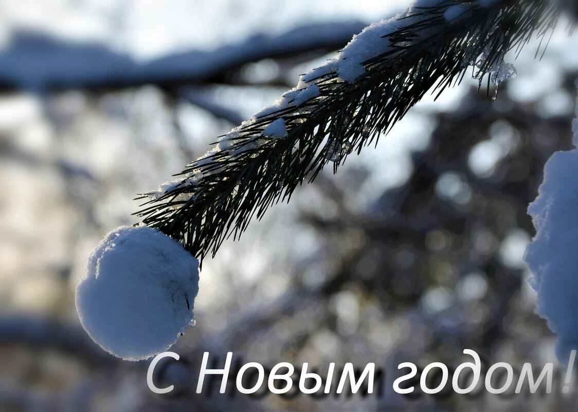 С Новым годом и со светлым праздником Рождества, друзья!!! - Ольга Русанова (olg-rusanowa2010)