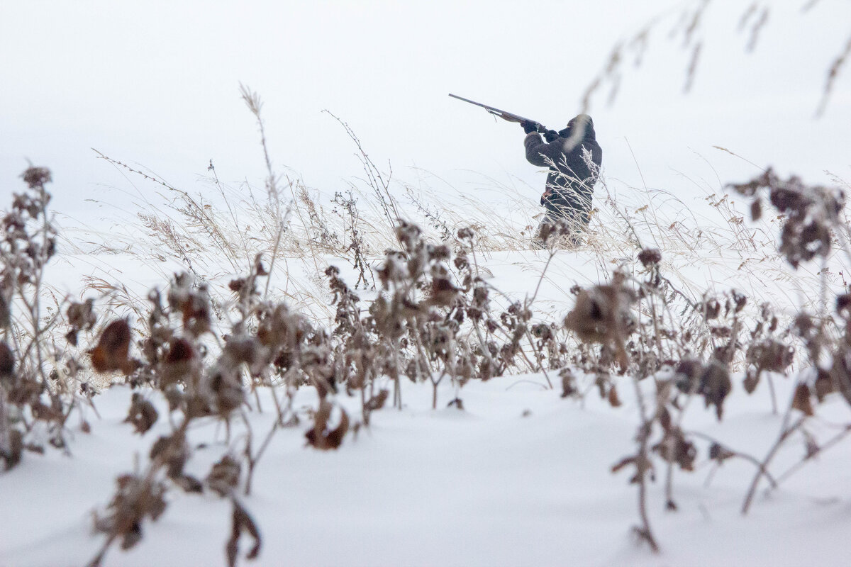 Охота на фоне зимнего пейзажа. - Андрей Ионов