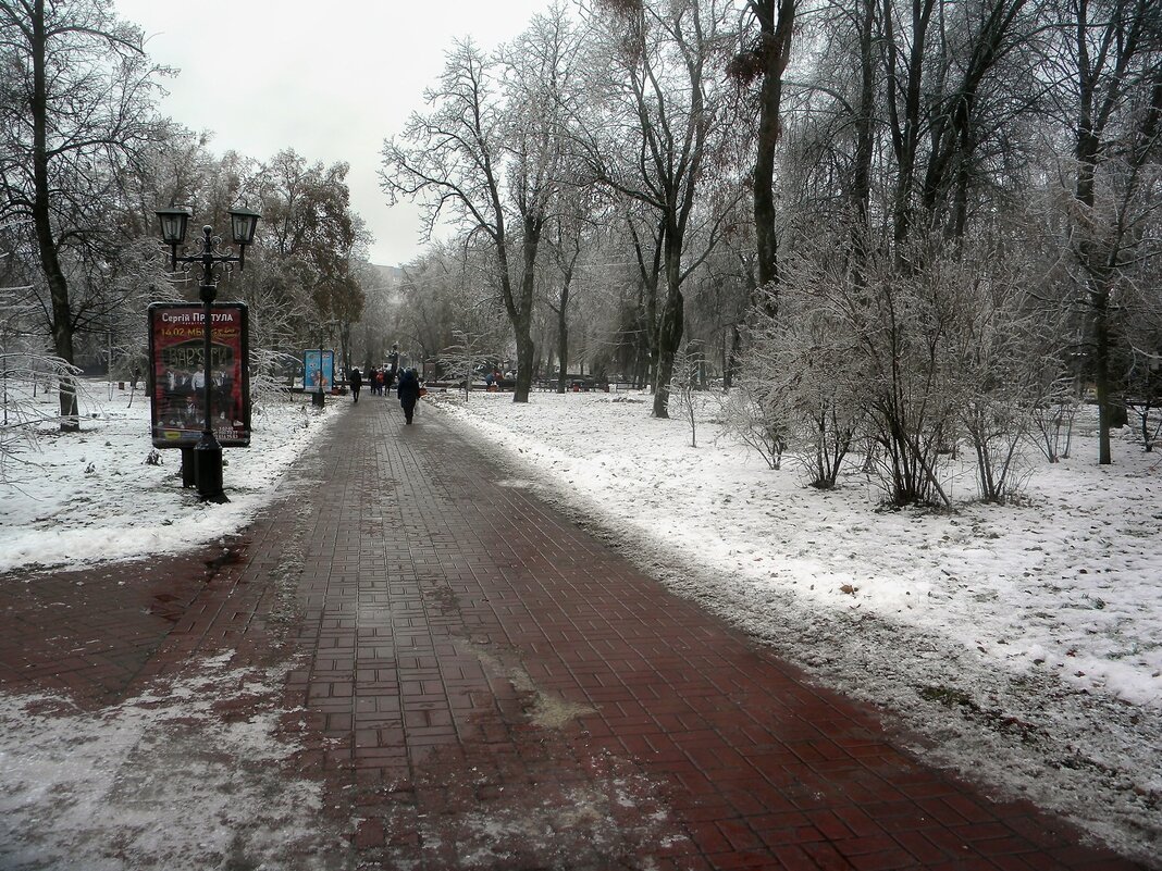 Зимний парк - Роман Савоцкий