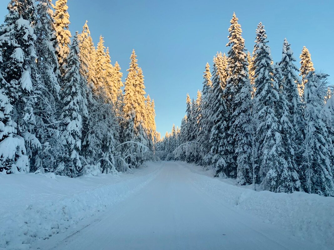 Январь в центральной Швеции Dalarna - wea *