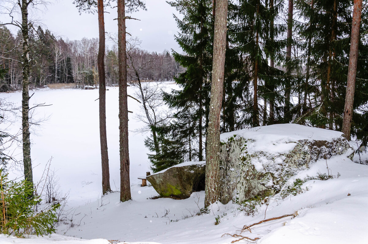 В зимнем лесу - Ирина Смирнова