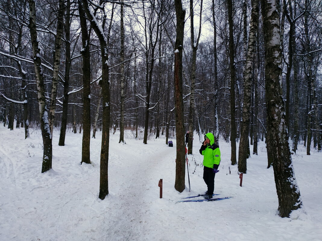 На лыжах можно и не бежать - Андрей Лукьянов