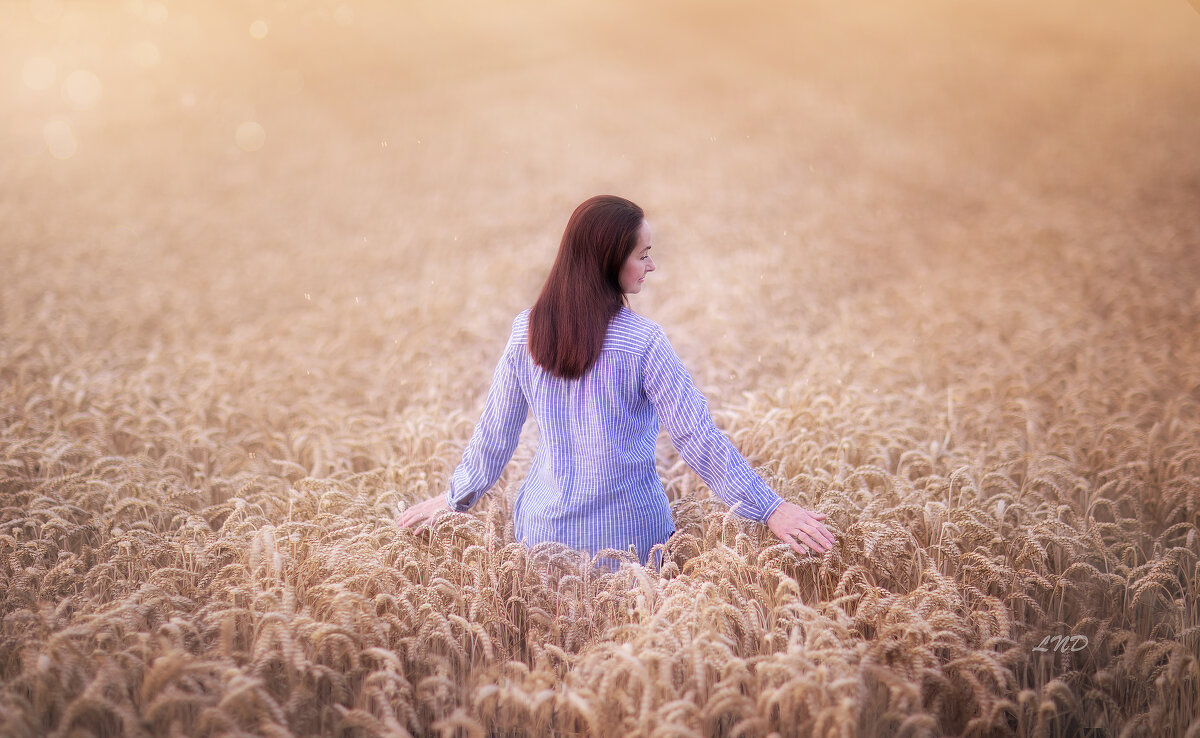 Я по жизни иду, как по полю пшеницы… - Nadezhda Laschinski