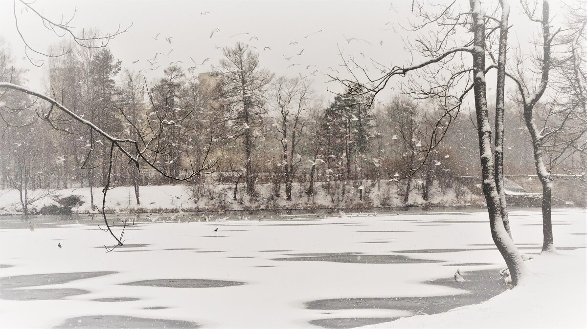 Ностальгирую по снегу...( - Elena Ророva