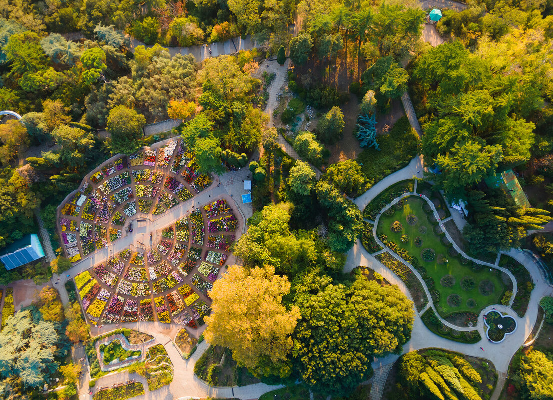 Бал Хризантем в Никитском саду - Сергей Титов