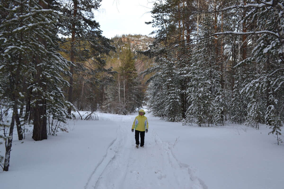 В Каркаралинском лесу...снег скрипит...Поход спортивный. - Андрей Хлопонин