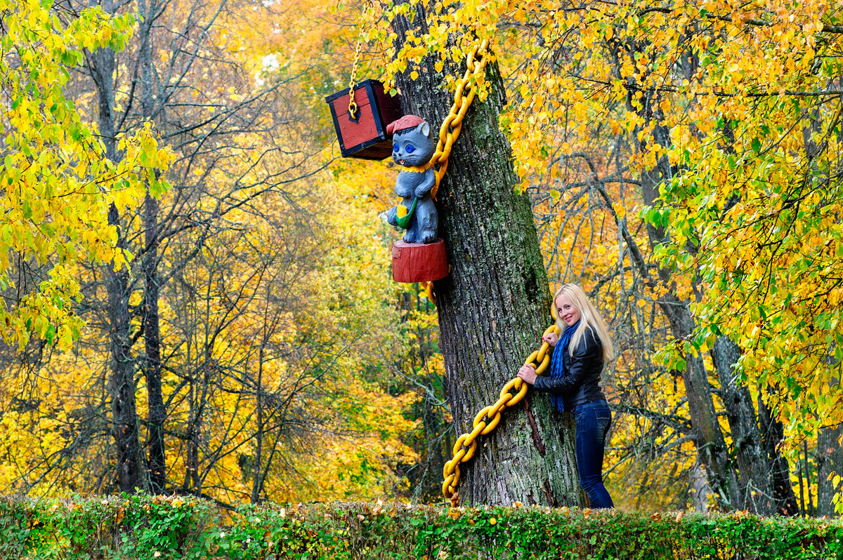 Осень в сказочном лесу - Анатолий Клепешнёв