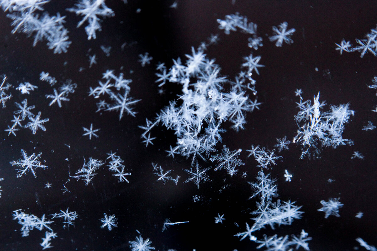 Снежинки в моем окне - Ineta Osipoviča