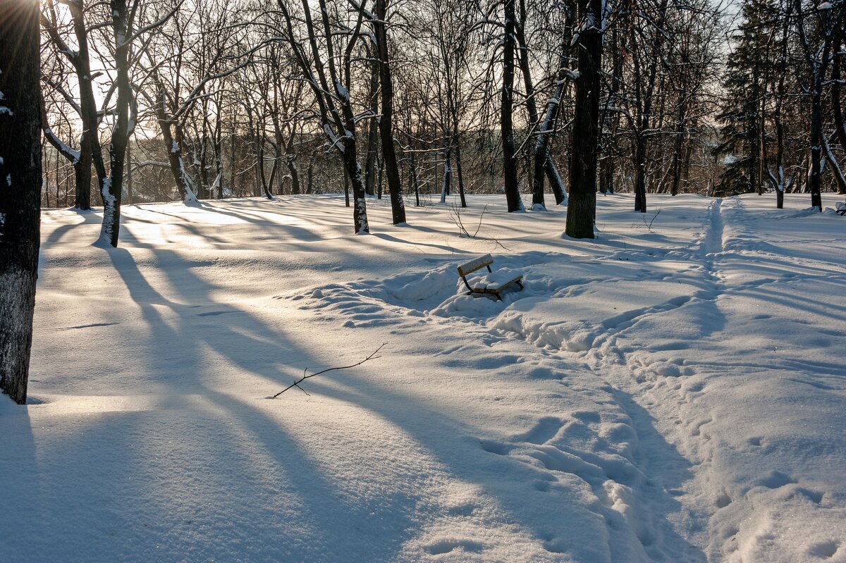 В парке после снегопада - Валерий Иванович