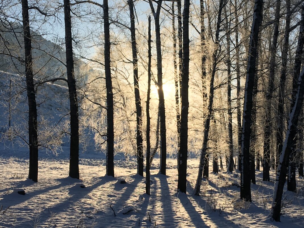 Зимнее утро на Катуни - Эдуард Алмадаков