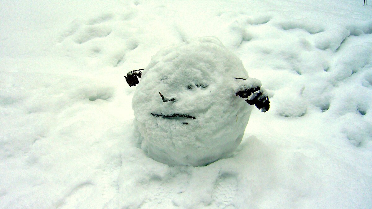 Снежный колобок - Сергей 