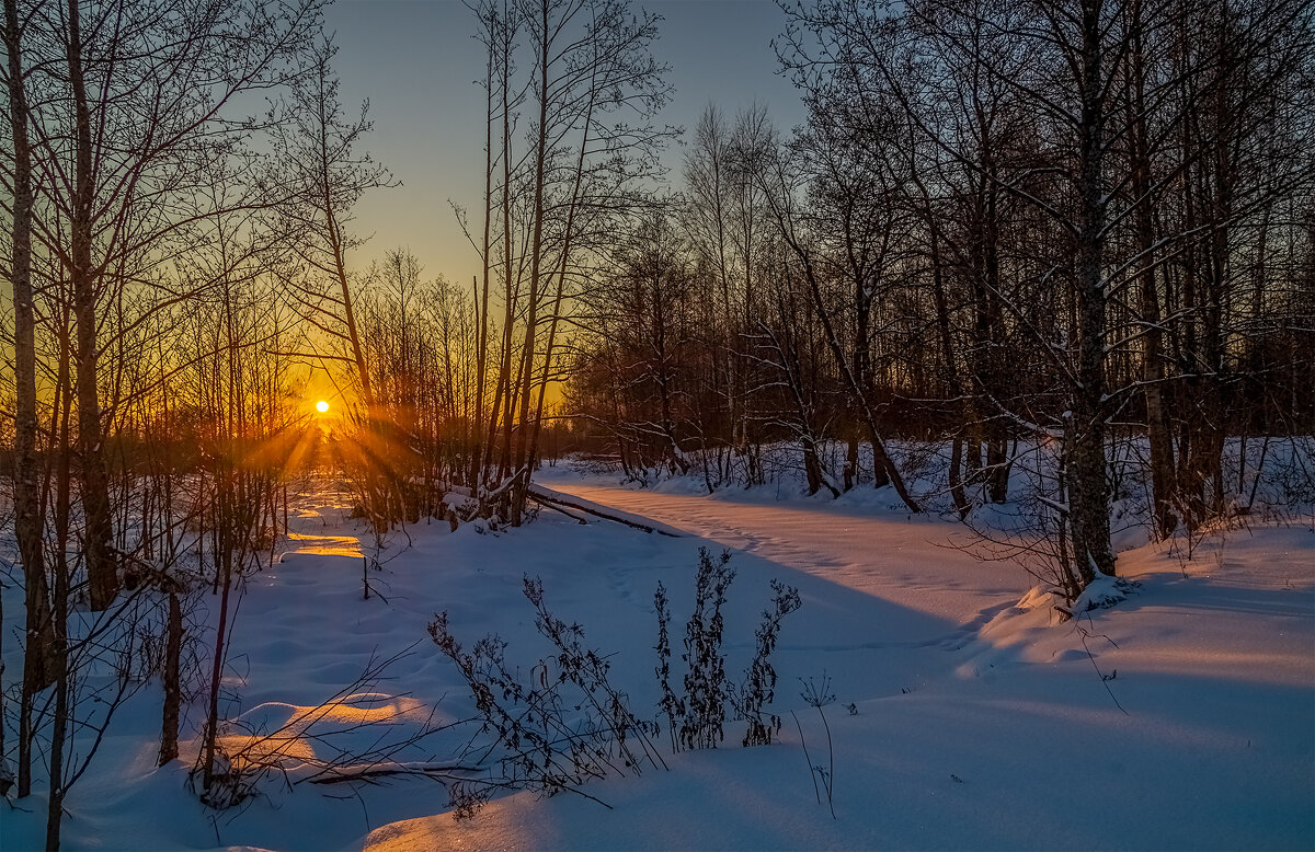 Мороз vs. Солнца # 6 - Андрей Дворников