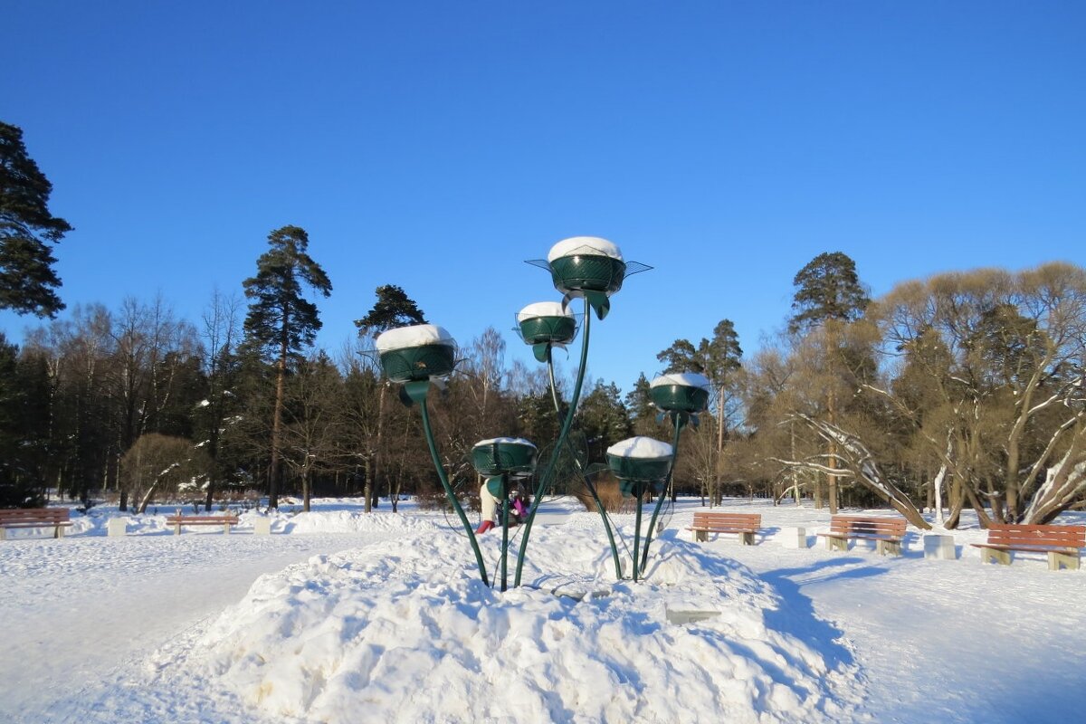 Парк зимой - Вера Щукина