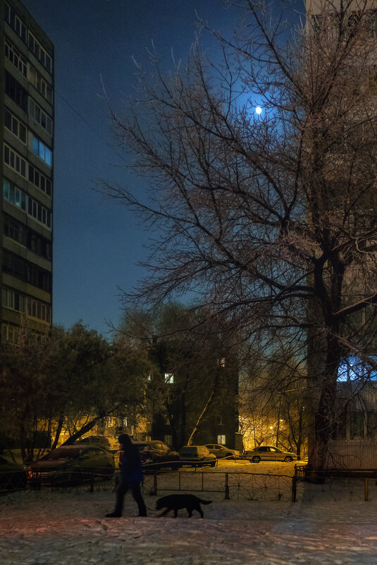 Лунная ночь - Сергей Шатохин 