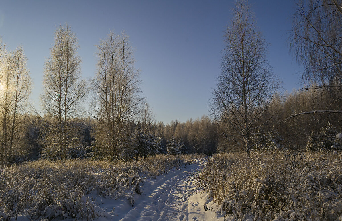 Зимний пейзаж - Сергей Цветков