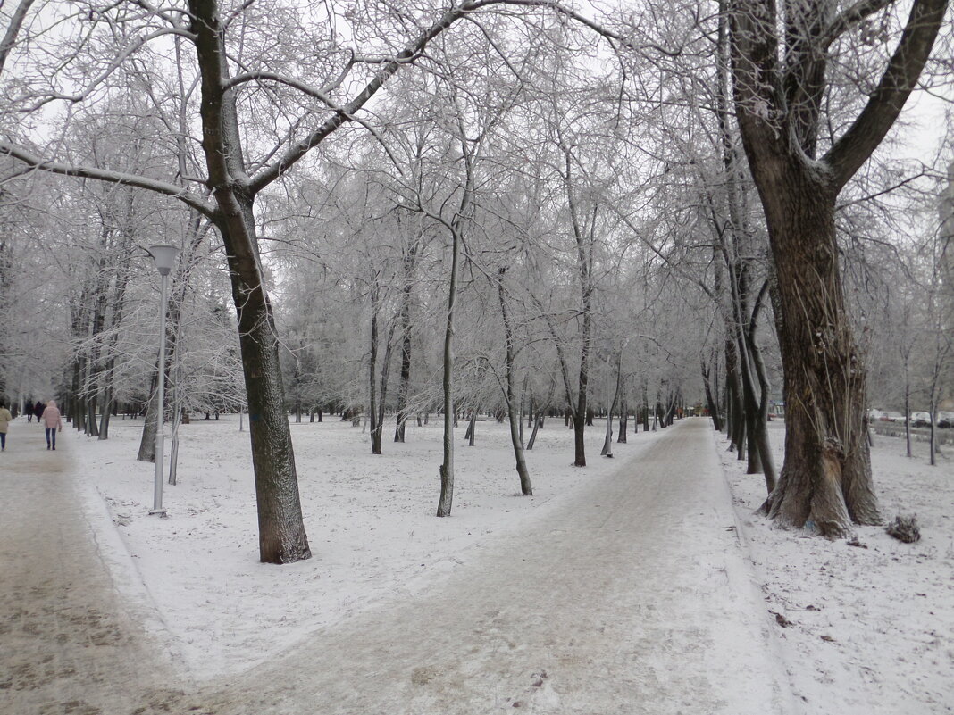 Зимний парк - MarinaKiseleva 