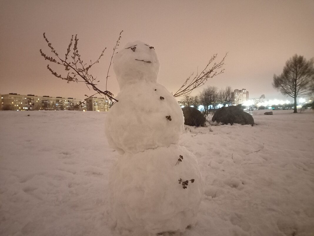 Снеговик - Сапсан 