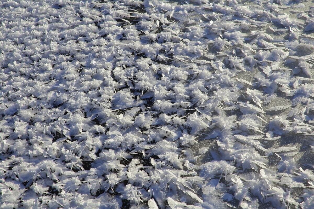 Мороз рисует на льду - Нина северянка