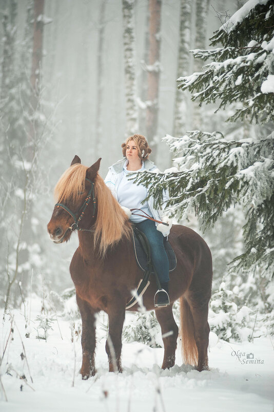 В туманном лесу верхом на коне - Ольга Семина