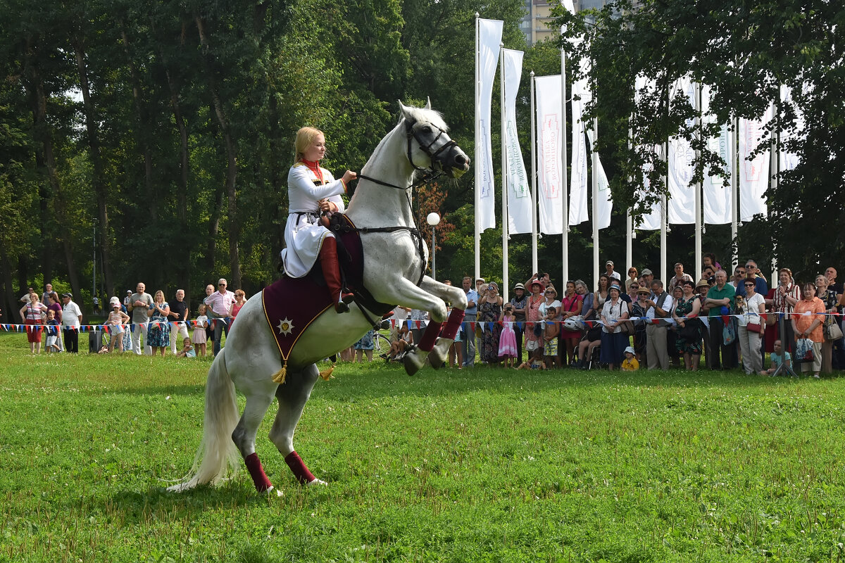 Кремлевская школа верховой езды. Юлия Калинина и ее конь Живописный. - Наташа *****