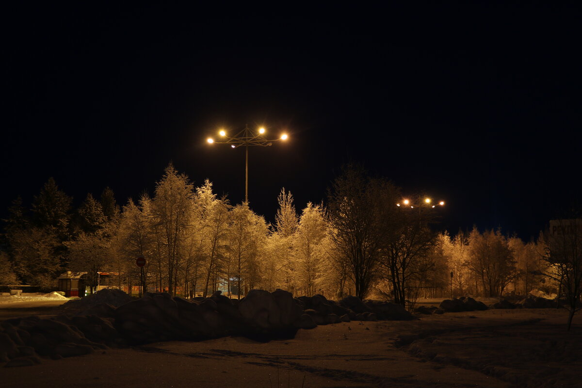 Зимняя ночь - Ольга 