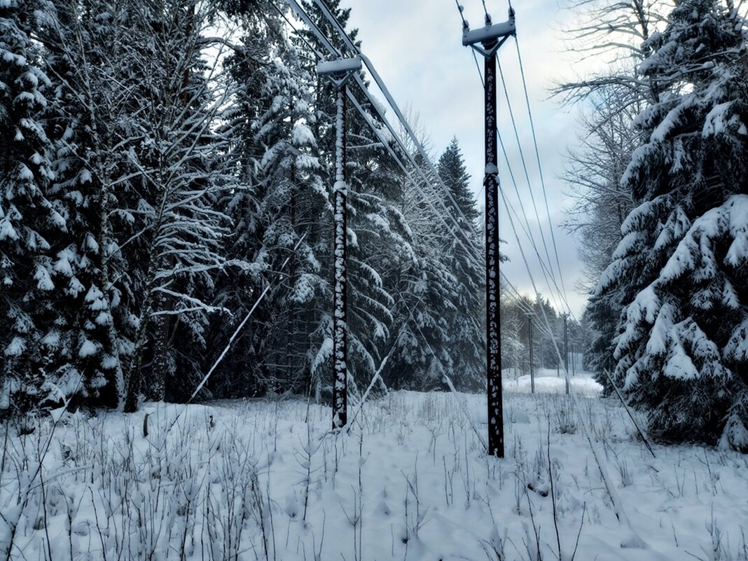 Январь в Швеции - wea *