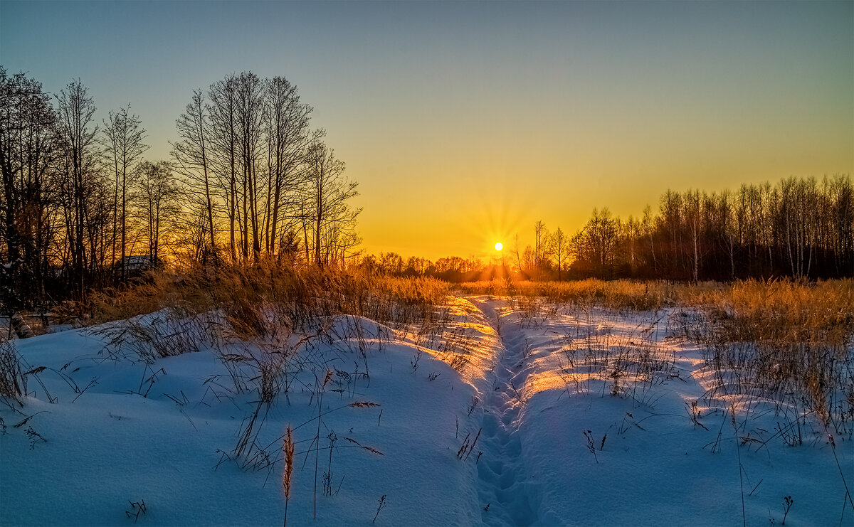 Мороз vs. Солнца # 11 - Андрей Дворников