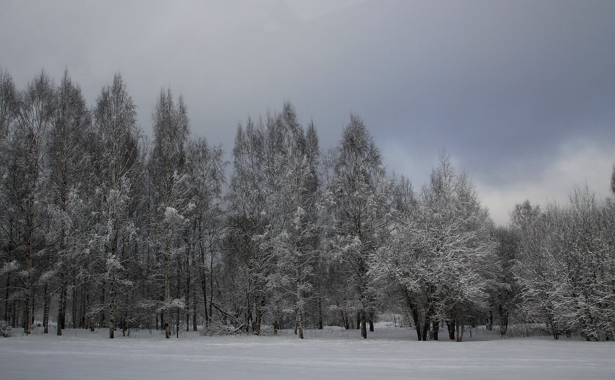Зима-это время, когда ждешь лето, но в тоже время безумно радуешься снегопаду. - Tatiana Markova