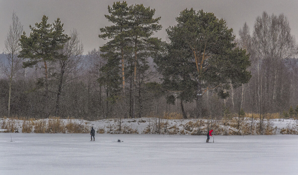 Рыбалка в снегопад - Сергей Цветков