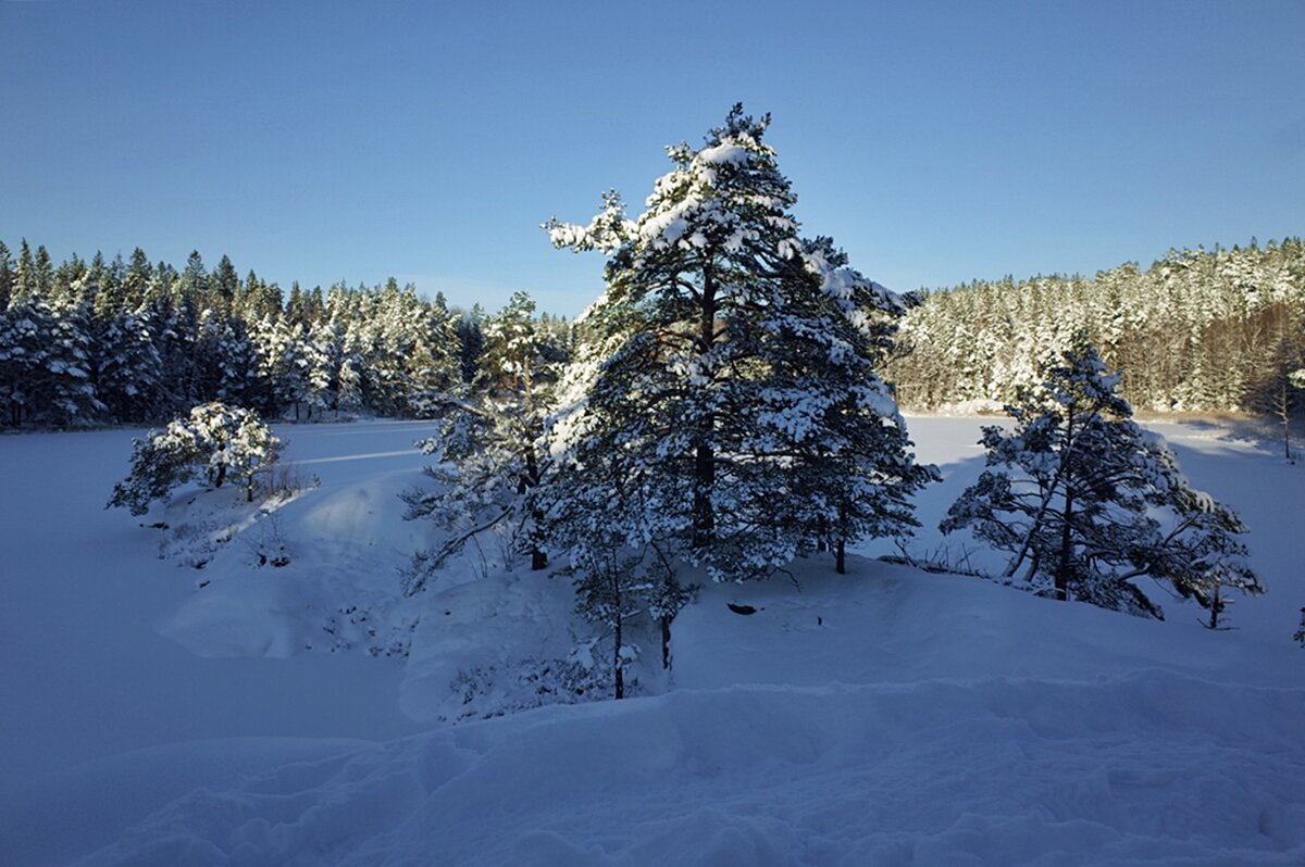 Солнечный и морозный последний день Января в Швеции - wea *