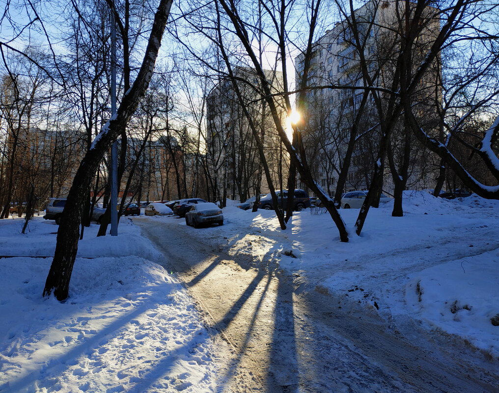 Февральское солнце - Андрей Лукьянов
