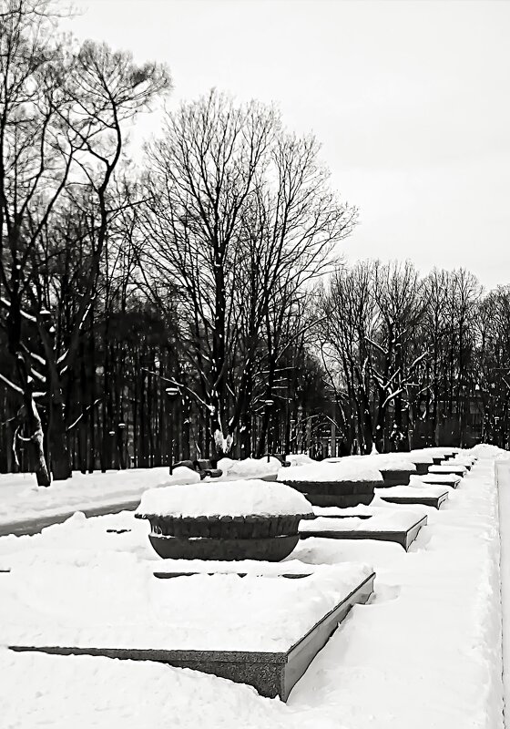 В зимнем парке - Михаил Малец
