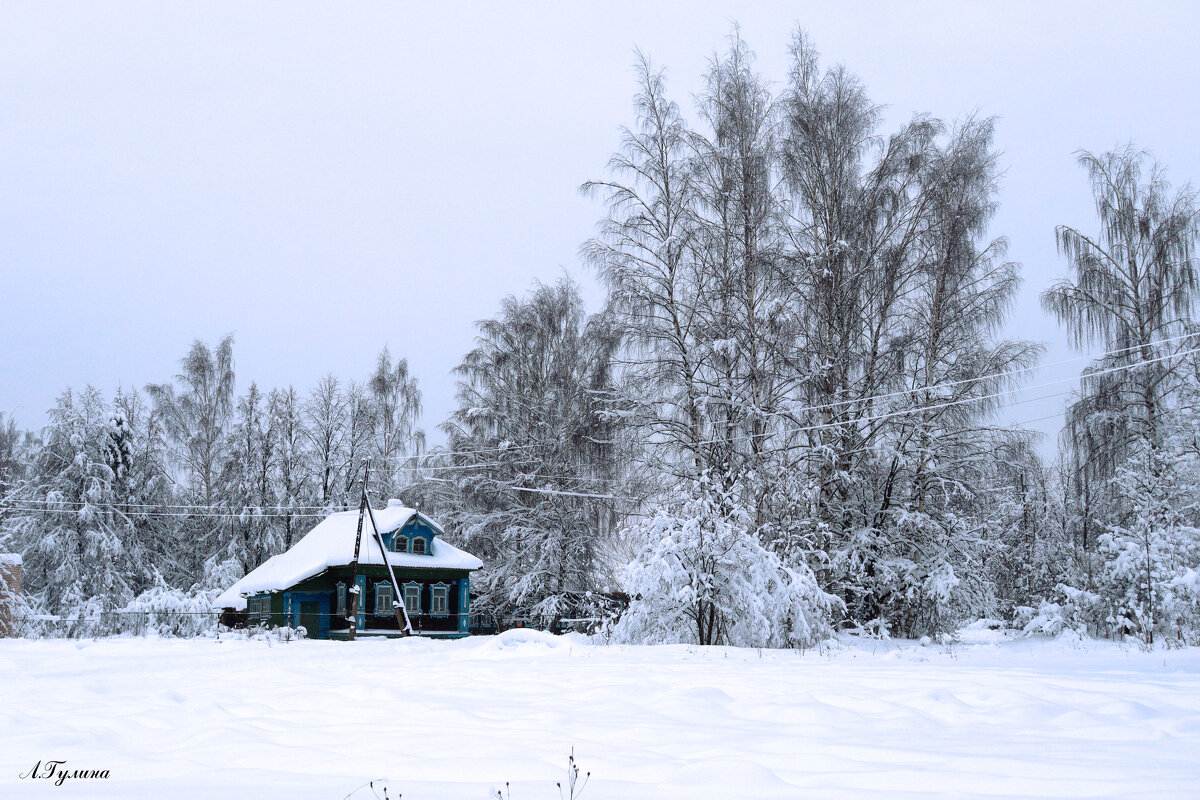 Зима в деревне - Людмила Гулина