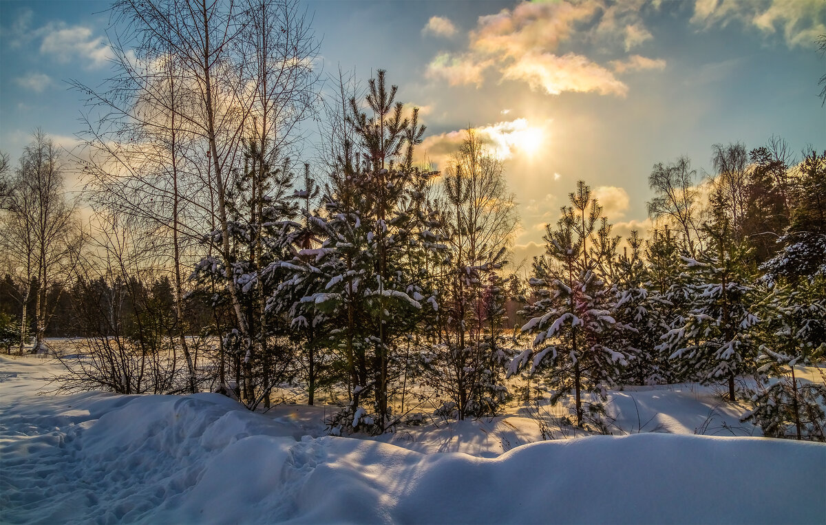 Солнце vs. Мороза # 1 - Андрей Дворников