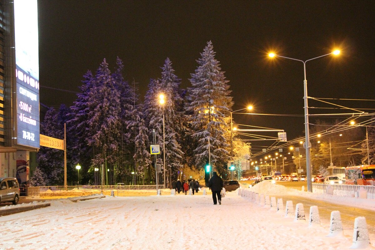 Просто зима в городе - Надежд@ Шавенкова