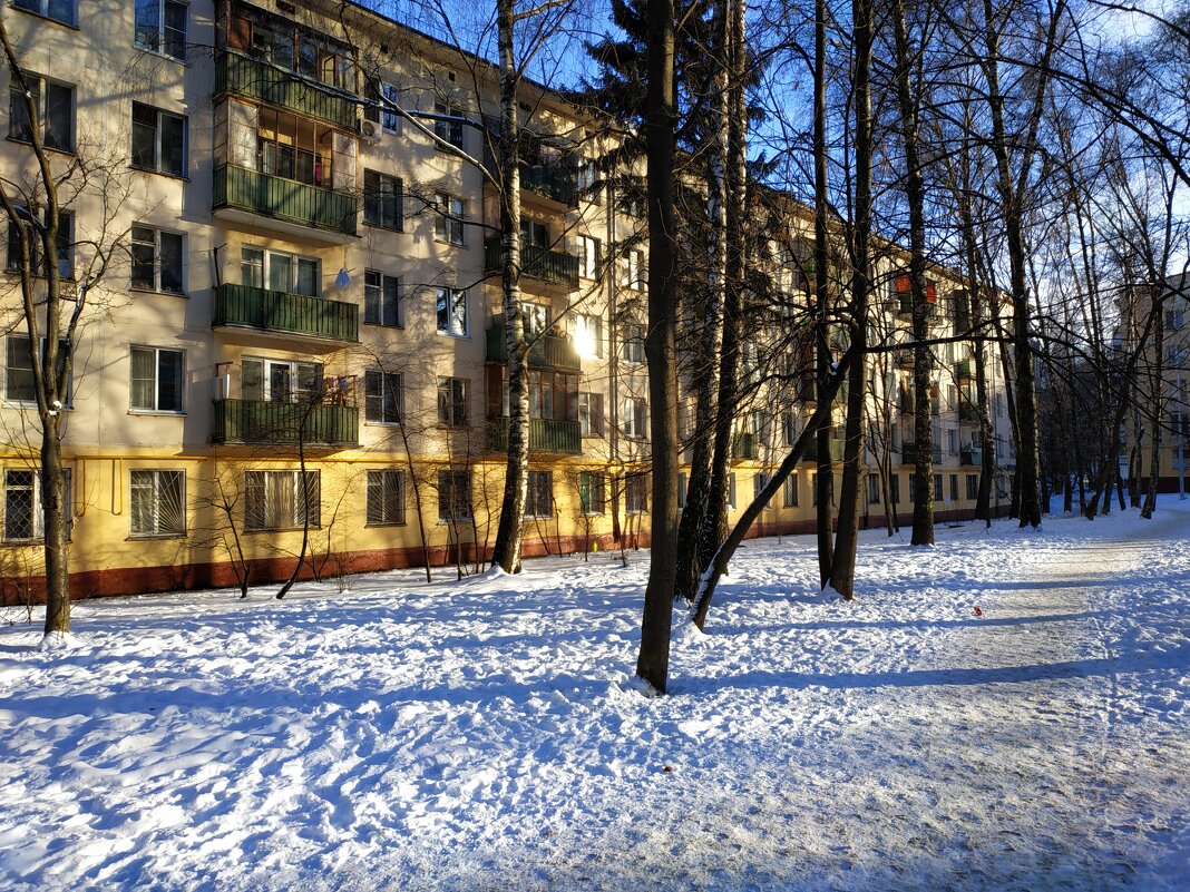Февраль начинает радовать солнцем - Андрей Лукьянов