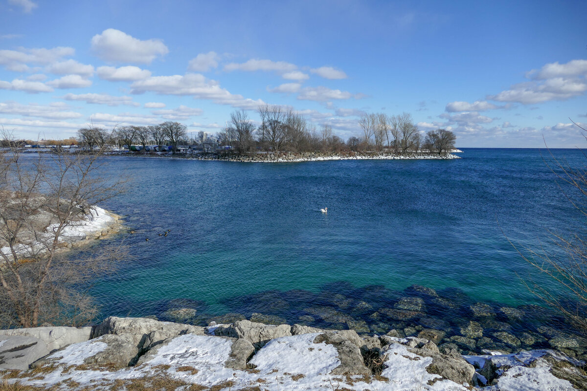 Оз. Онтарио, островок и плывущий лебедь, февраль 2021 г. - Юрий Поляков