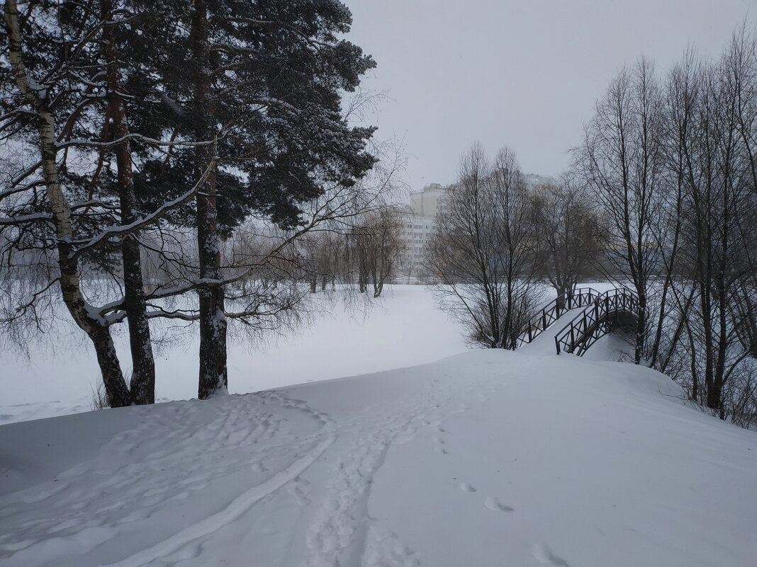 Снегопад, от которого я ждал чего-то большего - Андрей Лукьянов