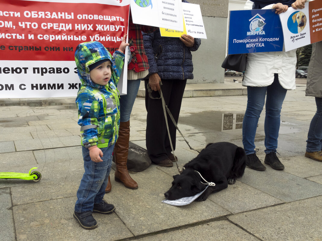 Северодвинск. Воспоминания о будущем (постковидном) - Владимир Шибинский