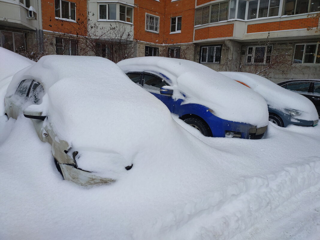 Гляжу — хорошо ли метели машины снежком занесли … - Андрей Лукьянов